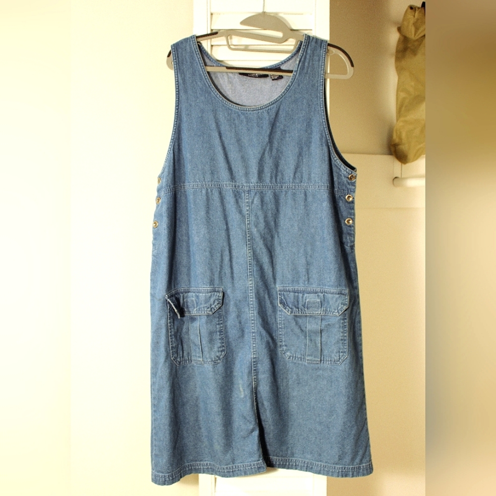 Vintage Mountain Lake Jean Dress